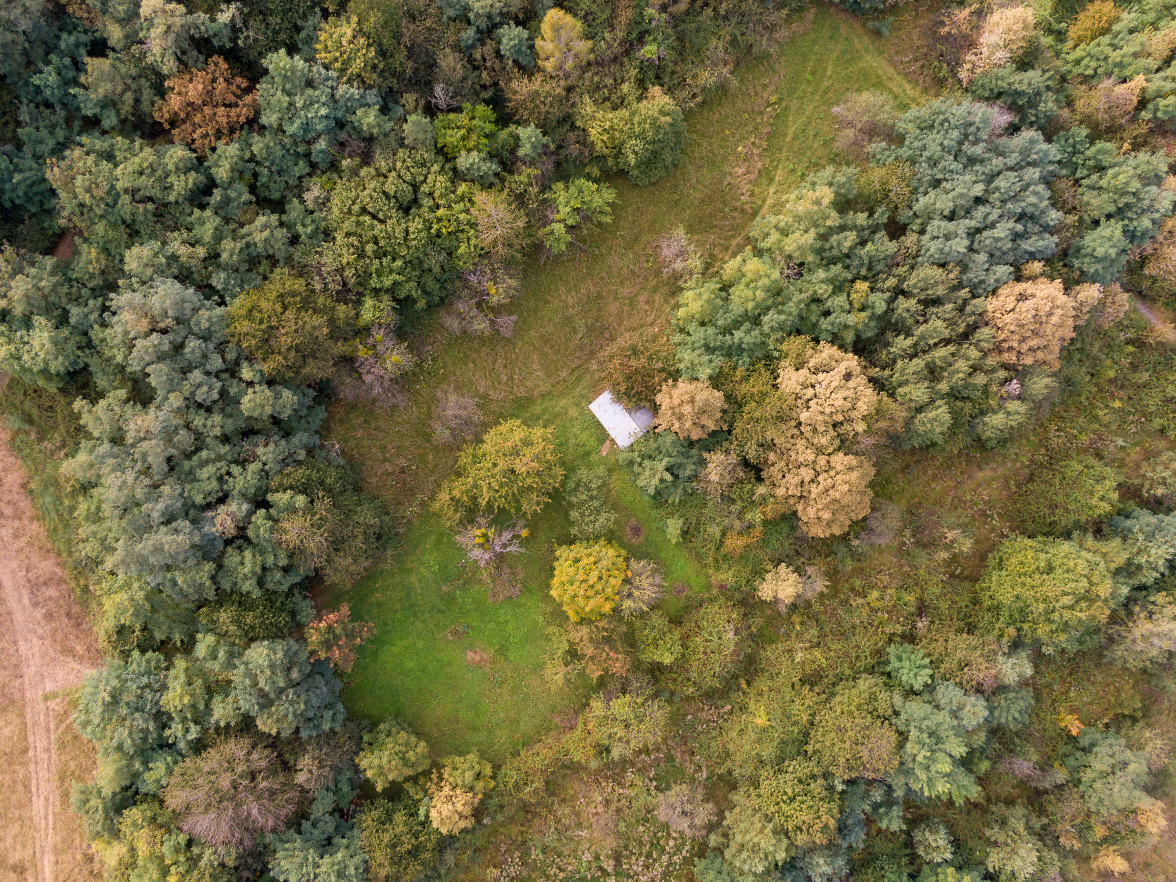 Stavebný pozemok | Seňa