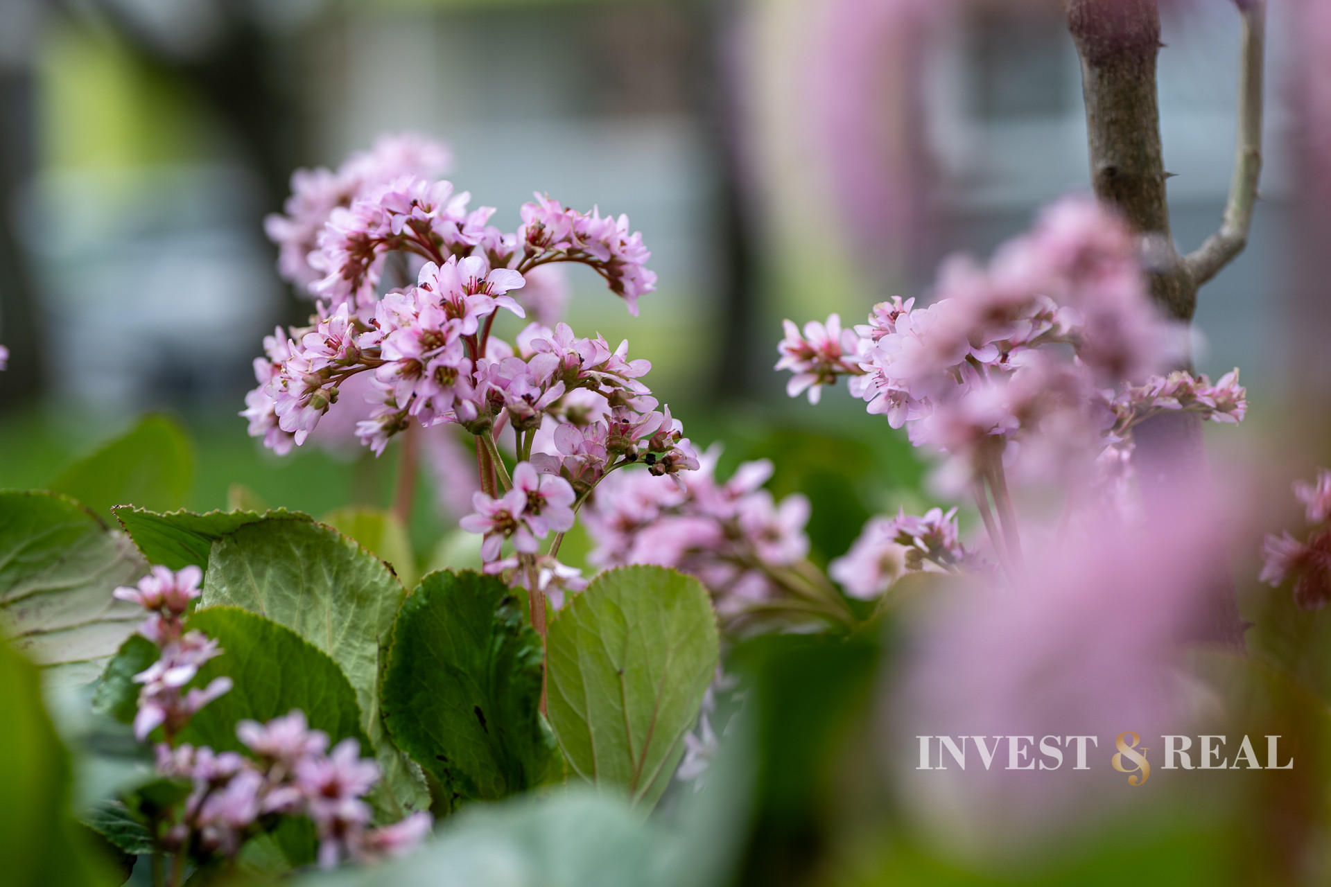 REZERVOVANÉ | 3 izbový byt | Košice - Nešporova