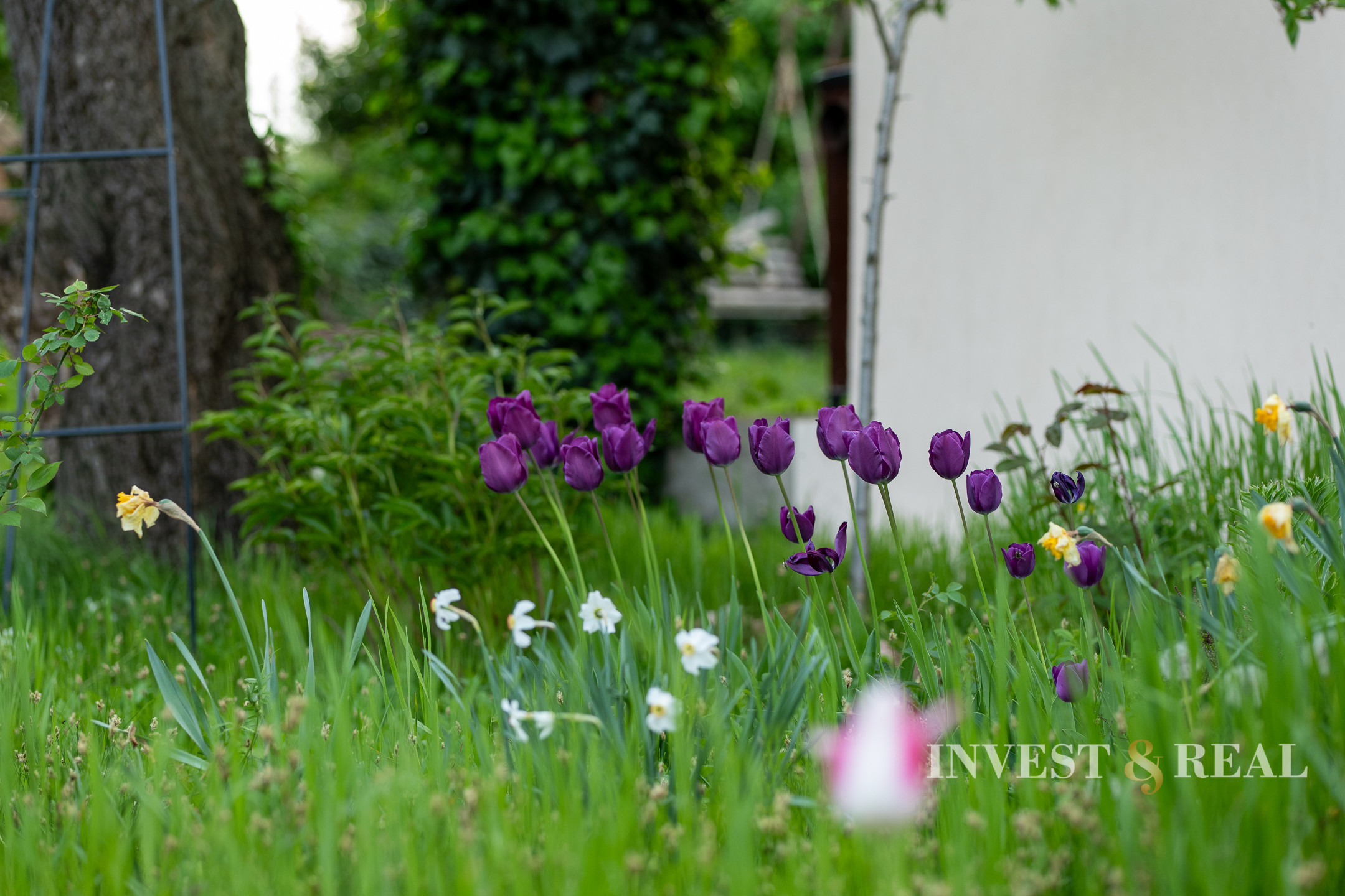 REZERVOVANÉ | Romantická chalupa | Ladmovce