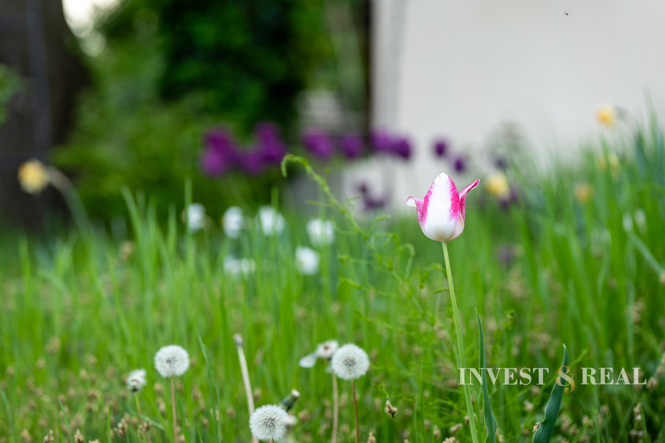 REZERVOVANÉ | Romantická chalupa | Ladmovce