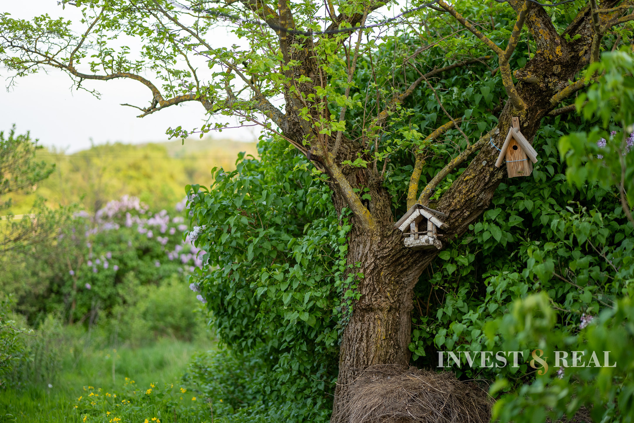 REZERVOVANÉ | Romantická chalupa | Ladmovce