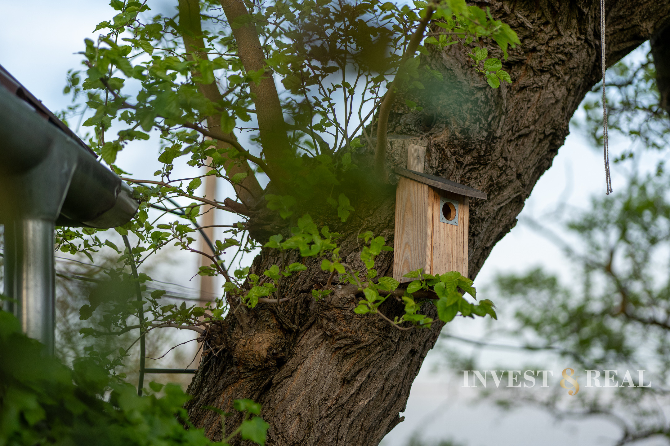 REZERVOVANÉ | Romantická chalupa | Ladmovce