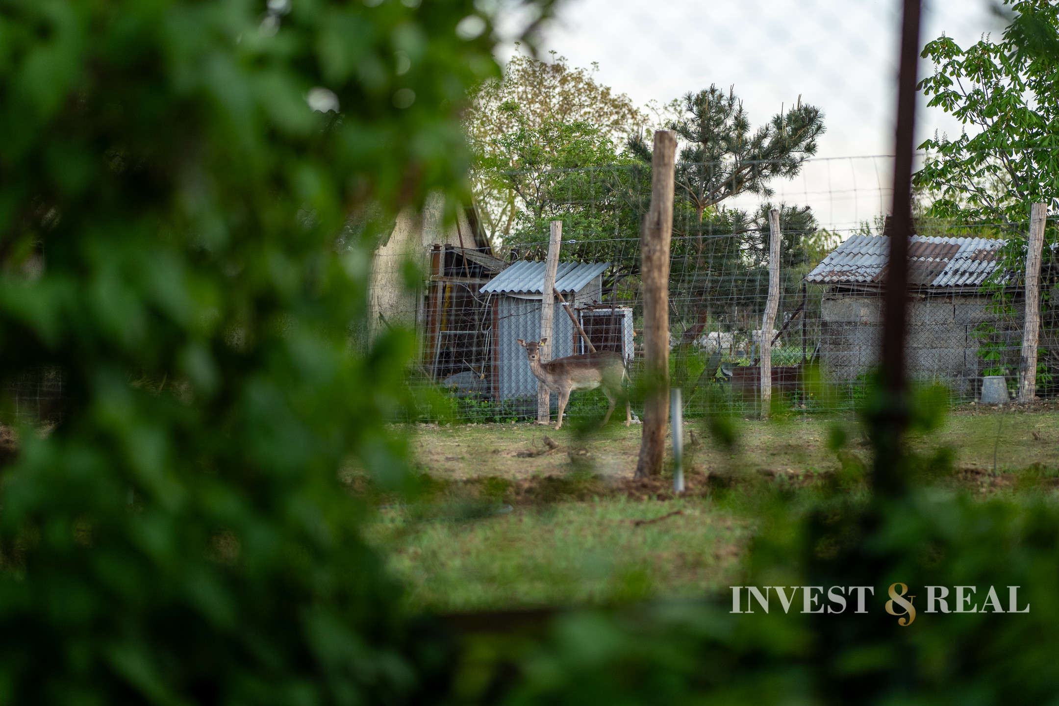 REZERVOVANÉ | Romantická chalupa | Ladmovce