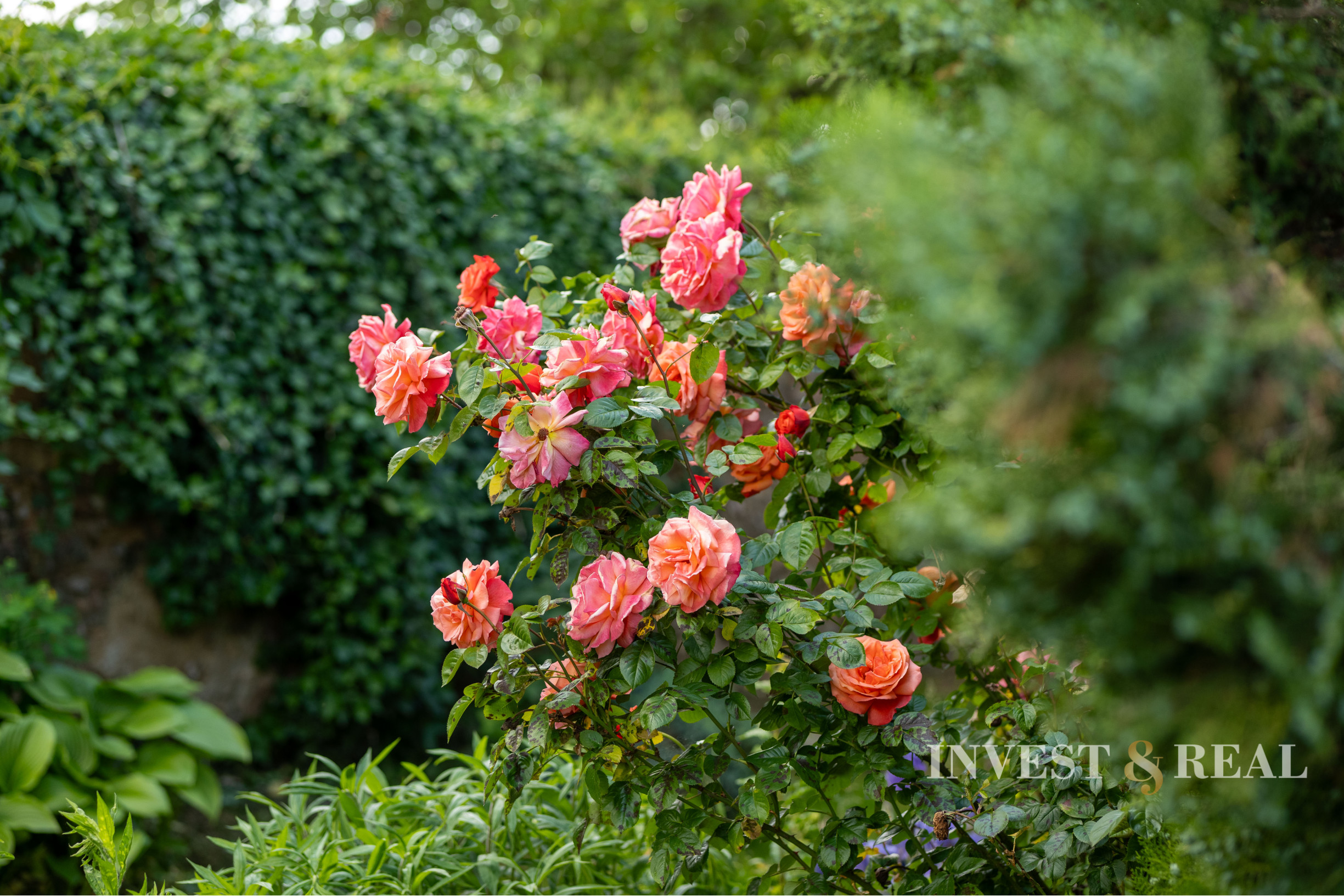 Rovinatý stavebný pozemok v centre | Moldava nad Bodvou