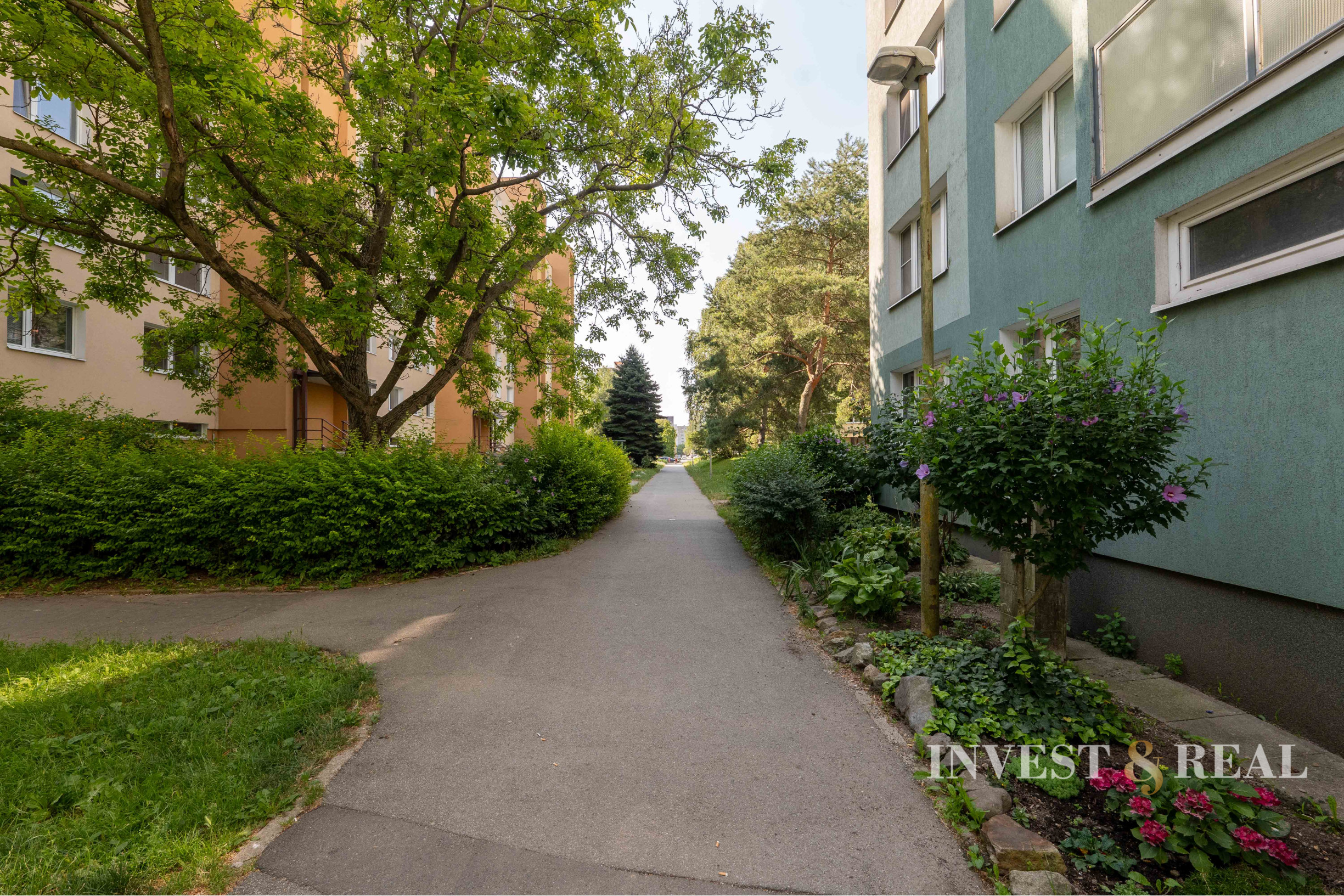 PRENÁJOM | 2 izbový byt | Košice - Západ - Orgovánová