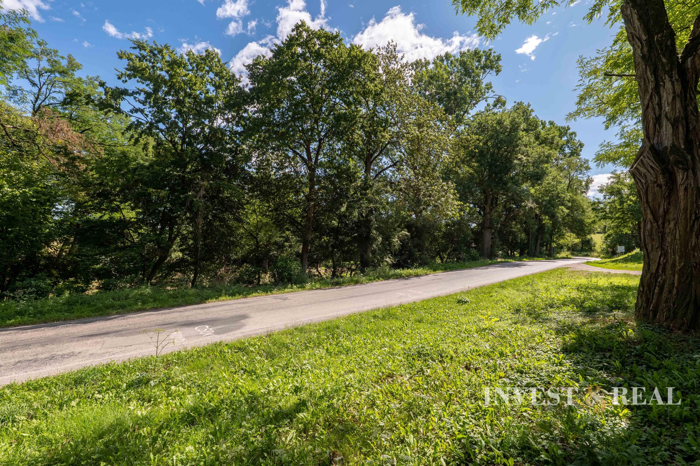 Zaujímavý investičný pozemok | 4 499 m² | Žarnov