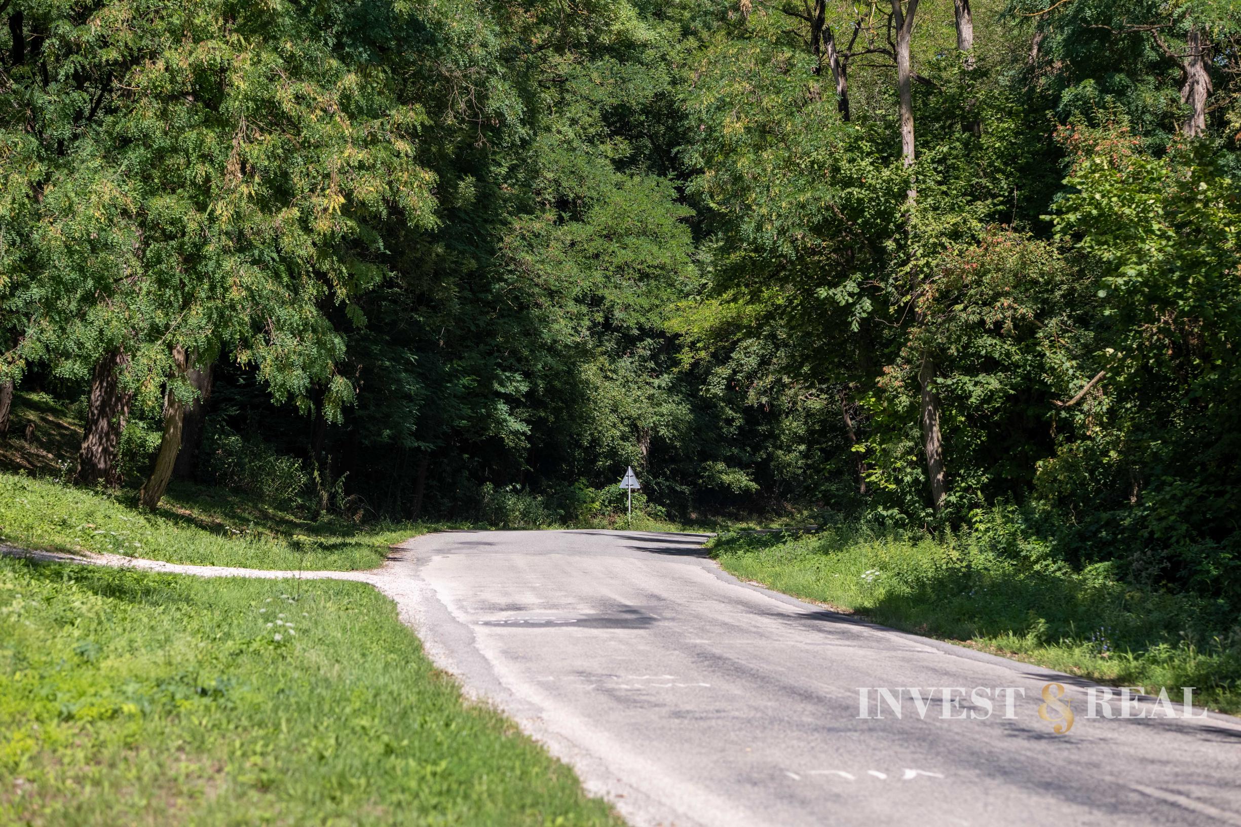 Pozemok na výstavbu rodinného domu | 800 m² | Žarnov